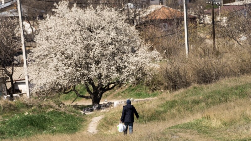 На выходных в Крыму прогнозируют теплую погоду, местами дожди