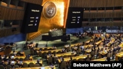 Голосование на заседании Генеральной Ассамблеи ООН
