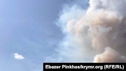Пожежа в лісі біля Старого Криму. Архівне фото