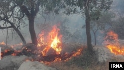 Wildfires in the forests of Khaeiz, southwest Iran. May 29, 2020