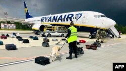 Белорусский кинолог проверяет багаж в пассажирском самолете Ryanair, который 23 мая совершил вынужденную посадку в международном аэропорту Минска. Впоследствии власти арестовали белорусского журналиста Романа Протасевича, находившегося на борту самолета.