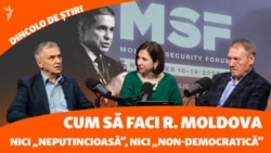 Negru și Boțan explică în ce ar consta și de ce ar fi necesar un Plan național de reziliență