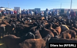 Часть рынка, где продают овец