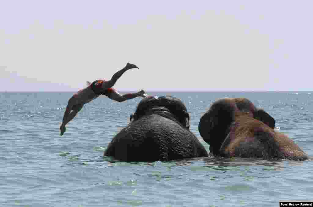 A trainer dives as elephants from a local circus take a regular bath in the waters of the Black Sea on a hot summer day in Yevpatoria on the Russian-occupied Ukrainian peninsula of Crimea. (Reuters/Pavel Rebrov)