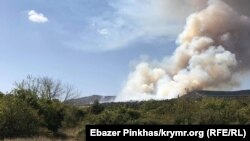 Илустрација 
