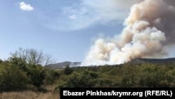 Пожар в лесу возле Старого Крыма. Архивное фото