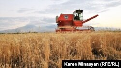 Armenia -- Wheat harvest in the Ararat province, 18Jul2012