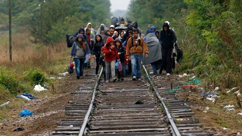 Пронајдени 55 мигранти во околина на Струмица 
