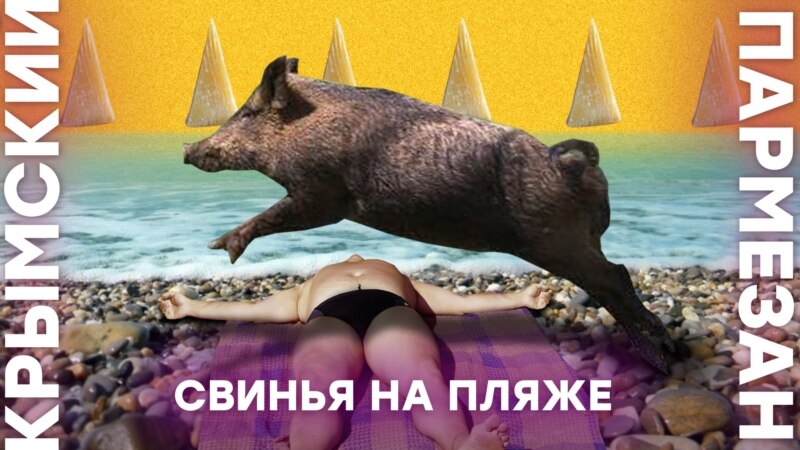 Свинья на пляже – Крымский.Пармезан