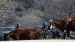 „Ситуацию в Крыму нельзя сравнивать с ситуацией в Приднестровье”