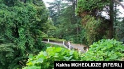 Батумский ботанический сад (архивное фото)