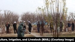 دغه کمپاین بلخ، جوزجان، سرپل، فاریاب او سمنګان ولایتونو کې پلی کېږي.