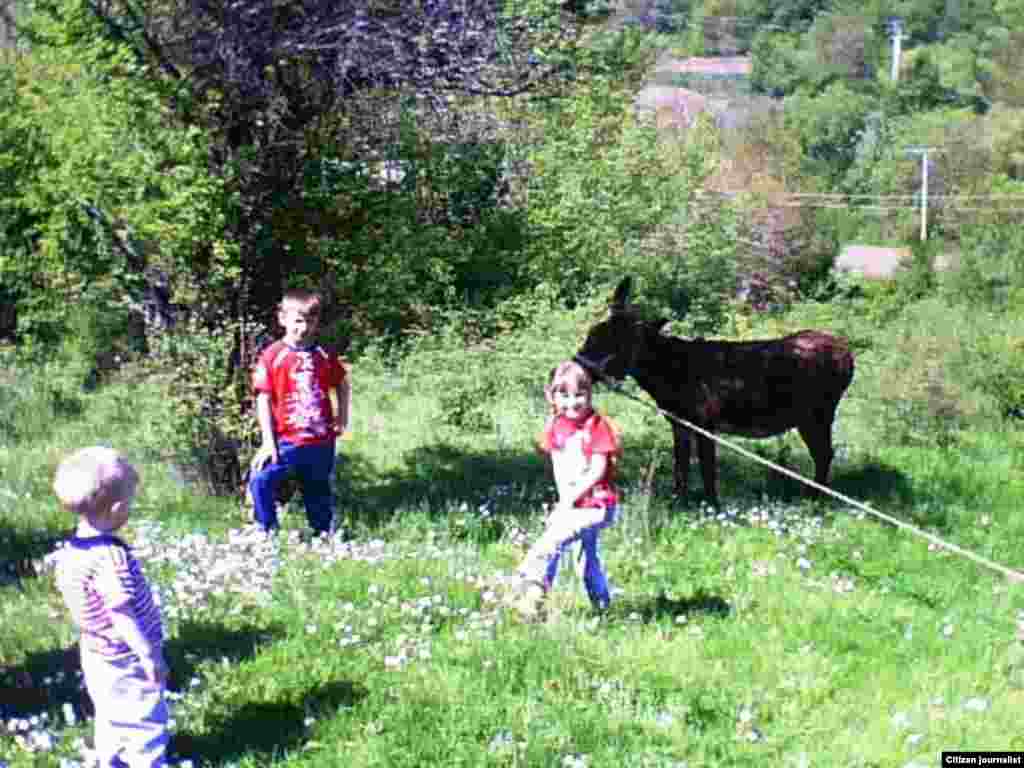 Selski turizam - Koga site deca bi gi uzivale prirodnite darbi i ubavini, ke nemaat zelba i ideja za narkoticni "uzivanja"Поставено од: Aleksandra