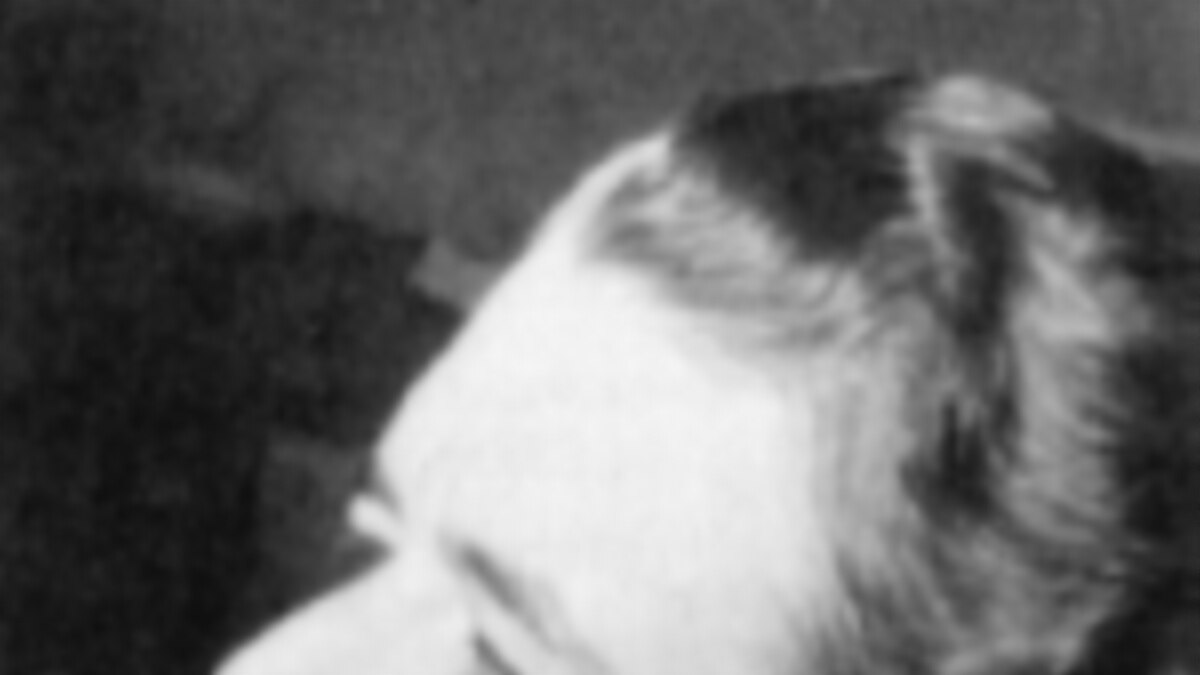 Когда человек был один. Памяти Маргерит Юрсенар