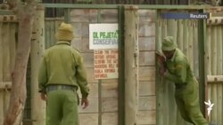 კალეიდოსკოპი