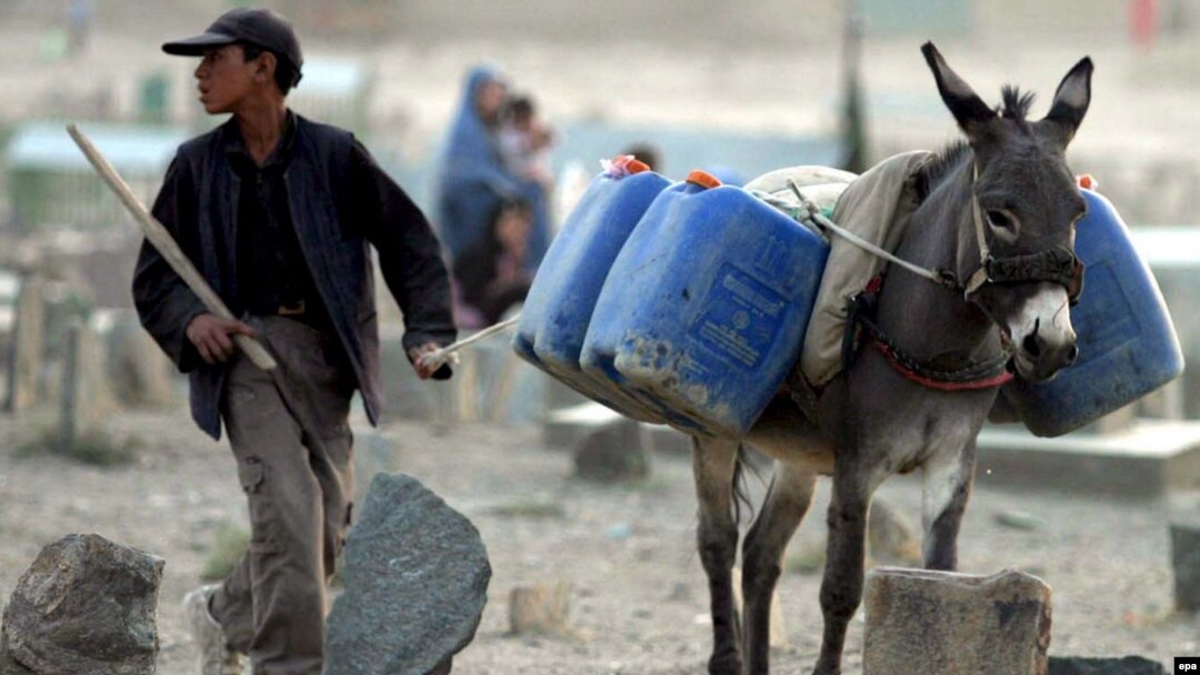An Afghan boy guides his donkey as it carries water cans. Seventy percent of Afghans lack access to clean drinking water.