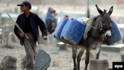 An Afghan boy guides his donkey as it carries water cans. Seventy percent of Afghans lack access to clean drinking water.