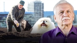 Ілюстрацыйны каляж