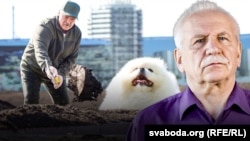 Ілюстрацыйны каляж