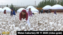 Инсталляция хлопкового поля на ежегодном празднике урожая. Туркменистан. Ноябрь, 2020