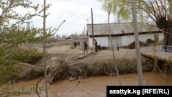 Ноокенский район Джалал-Абадской области