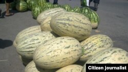 Мева-сабзавот экспорти 5 йил ичида 2,7 мартага оишрилиши иддао қилинаяпти.