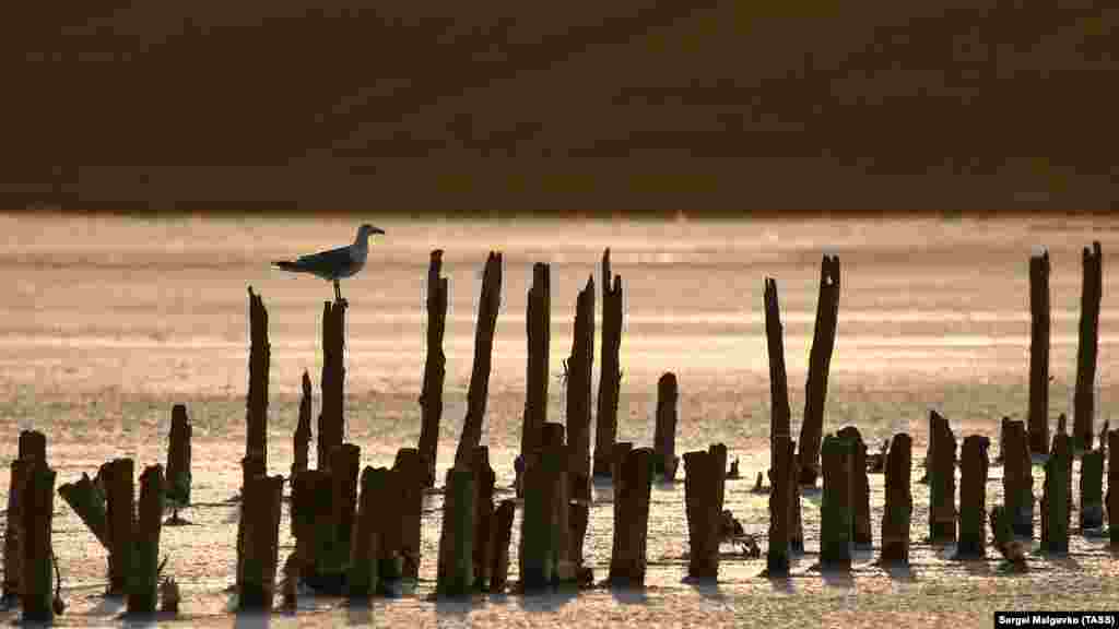 Озеро Чокрак имеет овальную форму и окружено возвышенностями высотой около 100 метров, здесь можно встретить редкие виды птиц, а грязь из этого озера считают целебной