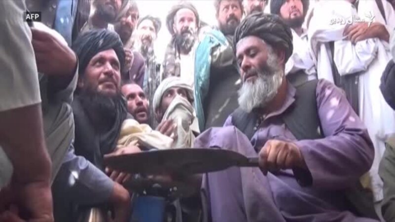 د طالبانو له واکمنېدو سره په افغانستان کې د اپیمو بیې لوړې شوې