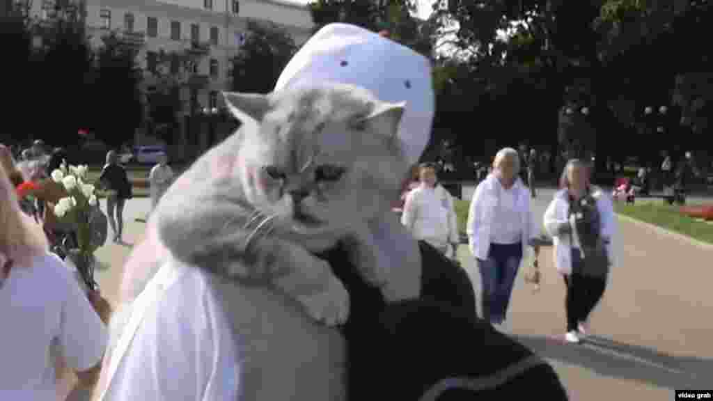 У Мінську літній чоловік на мирний протест приніс кота. Дивіться у відео Радіо Свобода, як цей кіт вирішив вийти на протест та чому він має такий незадоволений вигляд