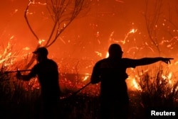 Zjarrfikësit duke luftuar me zjarret në Delvinë, Shqipëri, 12 gusht 2025.