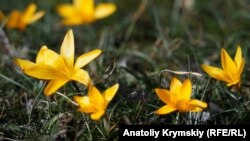 4 березня Укргідрометцентр прогнозує потепління, зокрема, до 16 градусів у Києві, +18 – на Вінниччині