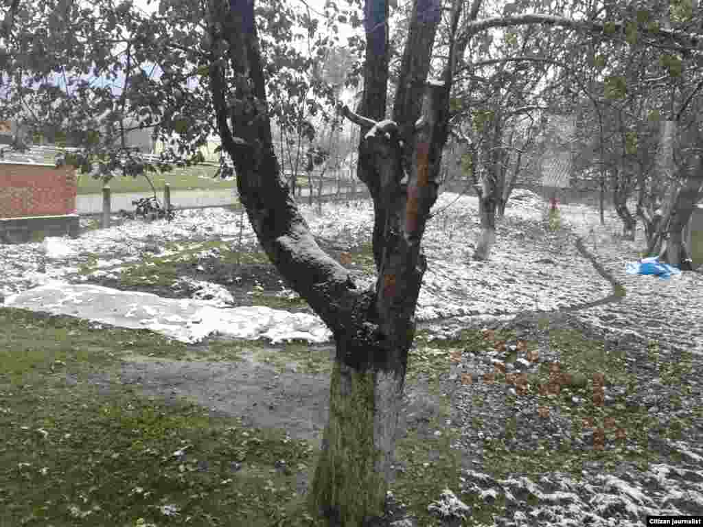 Тхан бешахь хаза ду.&nbsp; 