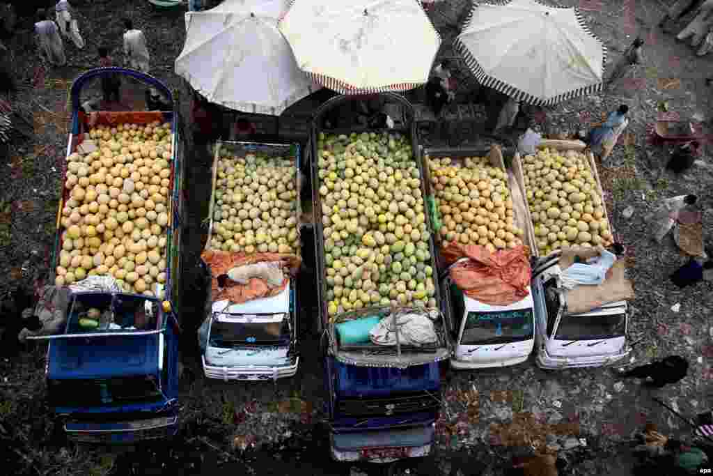 Fruit vendors sell their produce at a market in Karachi, Pakistan. (epa/Shahzaib Akber)