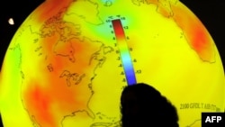 A scientist addresses a meeting this week at the United Nations Climate Change Conference in Copenhagen, Denmark.