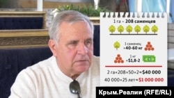 какой орех растет в крыму. Смотреть фото какой орех растет в крыму. Смотреть картинку какой орех растет в крыму. Картинка про какой орех растет в крыму. Фото какой орех растет в крыму