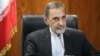 Ali Akbar Velayati, former Foreign Minister of Iran
