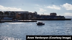 A crowd gathers on a pier in Hammerfest harbor to watch Hvaldimir being fed.