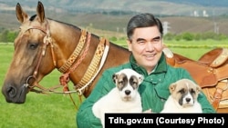 Türkmenistanyň prezideti 16-njy maýda başlan täze kitabyny itlere bagyşlady