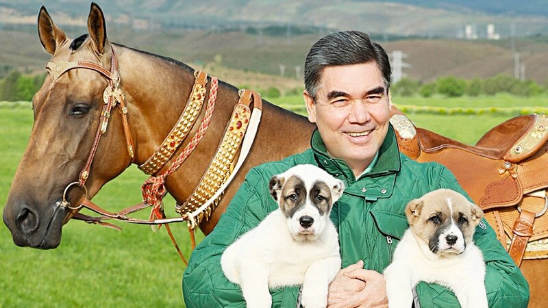 Türkmenistan 'möhüm desgalaryň' arasynda it ýaryşdyrmak üçin 'ýokary hilli' meýdança gurýar