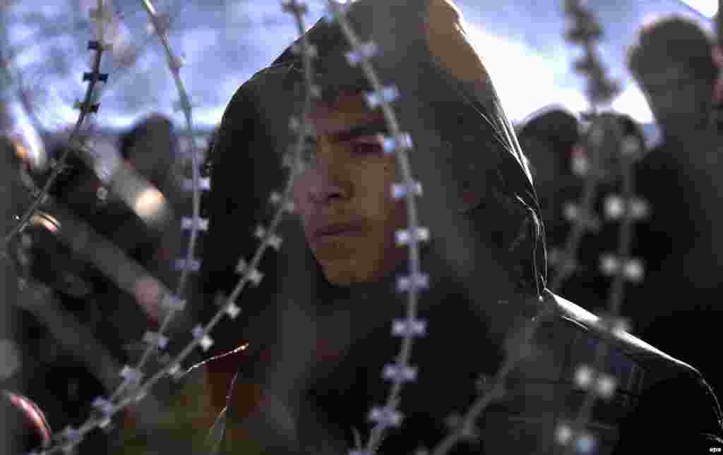 Afghan migrants stay behind a fence near the Greek-Macedonian border. (epa/Georgi Licovski)