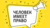 Человек имеет право. Миссия (не?)выполнима. Что делать, если вы нашли животное в беде