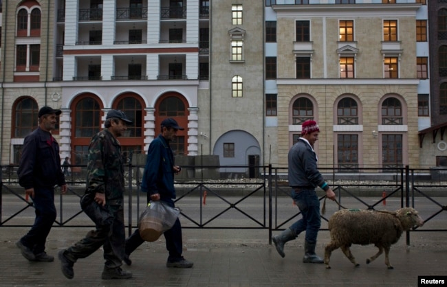 Punëtorët migrantë shihen me një dele në Krasnaja Poljana, afër qytetit jugor të Soçit.