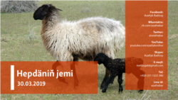 Hepdäniň jemi #13 (30.03.2019 ý.)