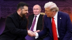 Владимир Путин, Дональд Трамп и Владимир Зеленский (коллаж)