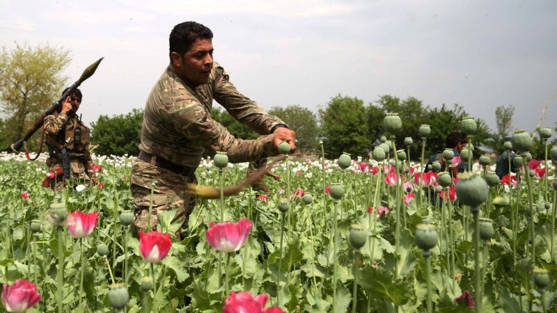 India konfiskon gati tre tonë të heroinës afgane 