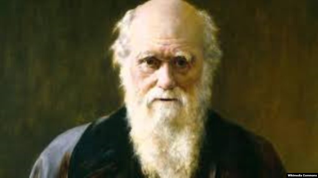 adam eve challenge darwinism in serbia