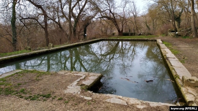 Водоем №3, где при Максимове обитали декоративные рыбы и раки