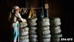  عکس از آرشیو