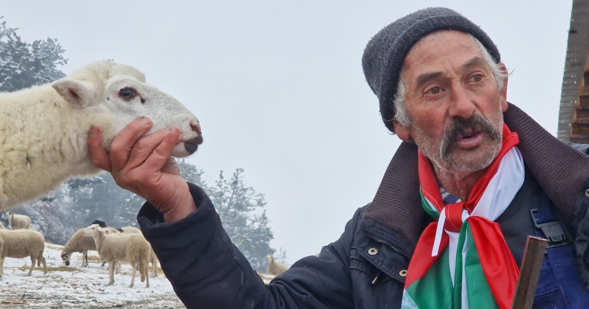 Стадото е заразено с чума, казват властите. Не е вярно,