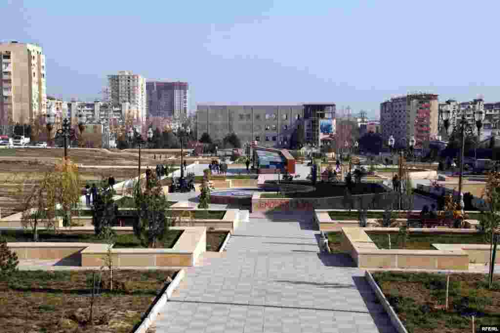 1 yaşlı qoca park #22
